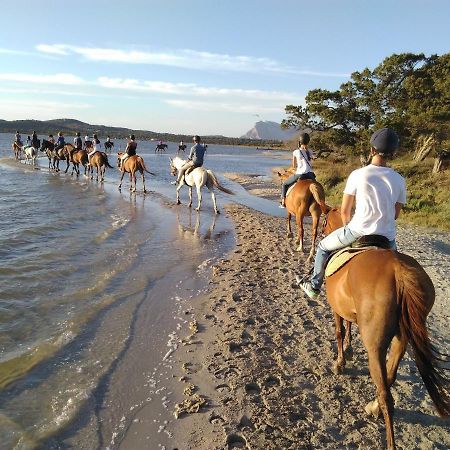 Appartamento Sette Posti Vicino Al Centro Di San Teodoro San Teodoro  Ngoại thất bức ảnh