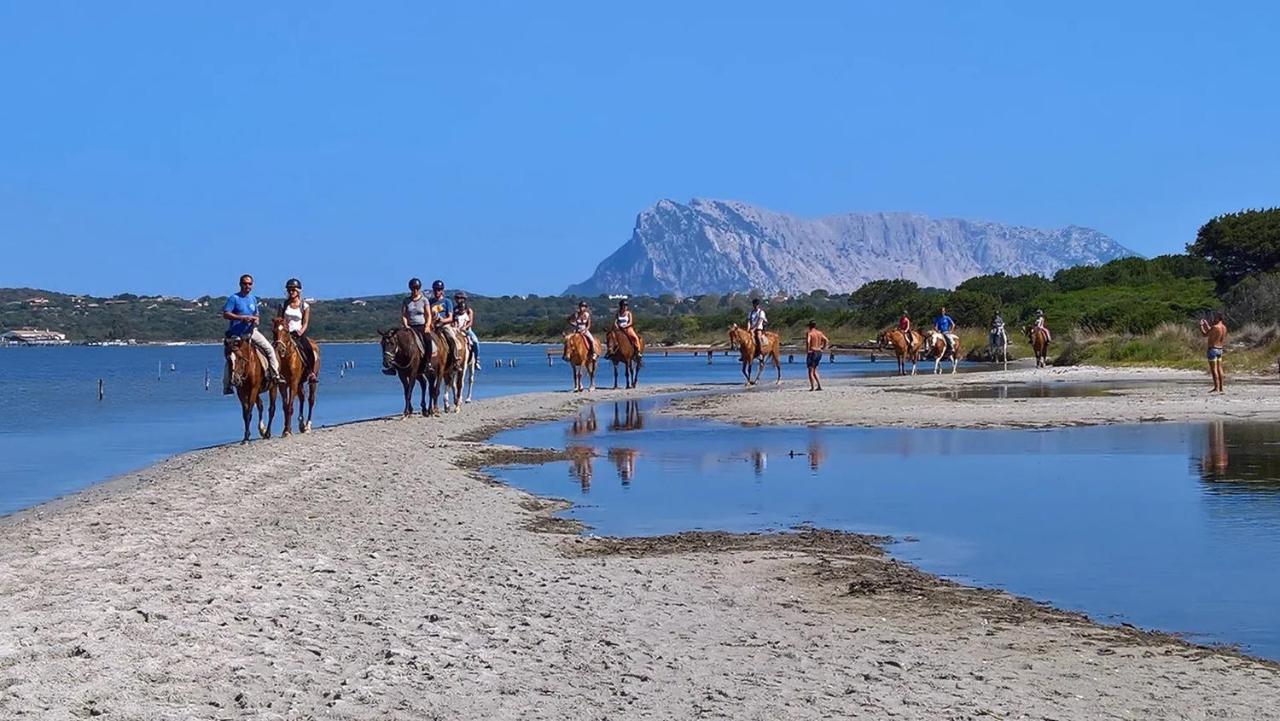 Appartamento Sette Posti Vicino Al Centro Di San Teodoro San Teodoro  Ngoại thất bức ảnh