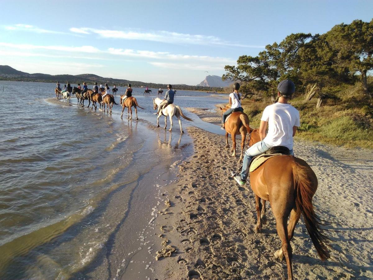 Appartamento Sette Posti Vicino Al Centro Di San Teodoro San Teodoro  Ngoại thất bức ảnh